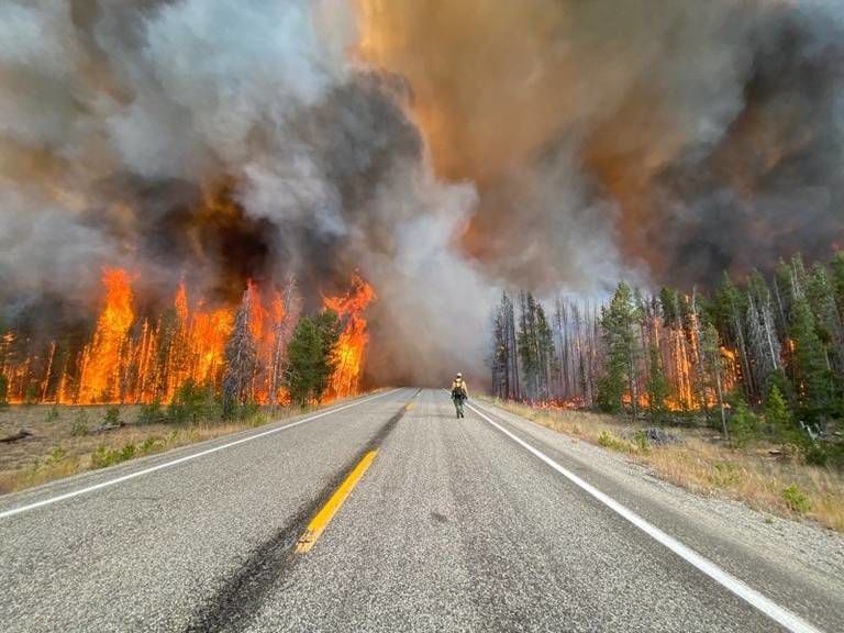 Trap Fire